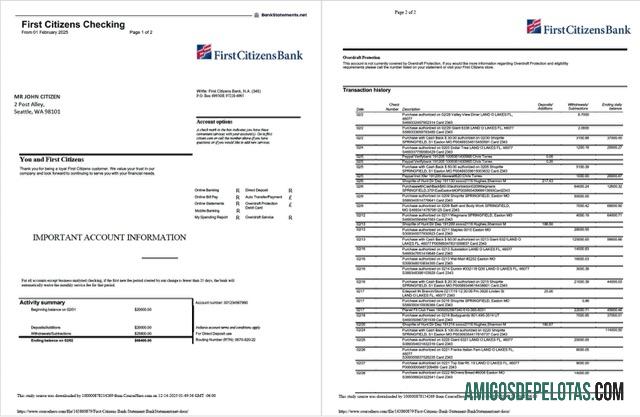 Extrato bancário do USA First Citizens para download, modelo Word e PDF, 2 páginas